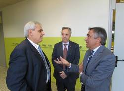 gallarate scuola scuole via checchi