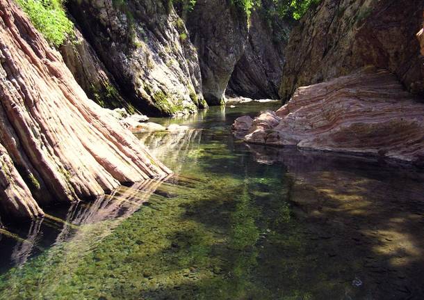 Il parco delle gole della Breggia