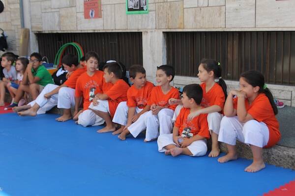 IMG 4996