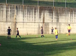 insubria calcio gazzada schianno morango giovanile