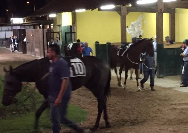 ippodromo Horse ambulance group