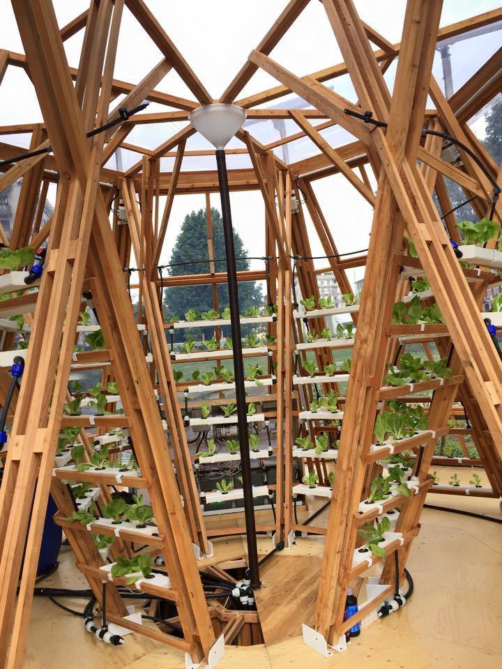 jellyfish zattera idroponica orto darsena