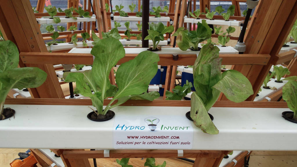 jellyfish zattera idroponica orto darsena