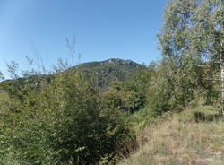 La mentuccia montana