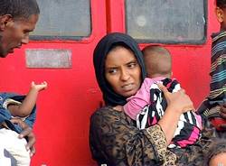 Migranti generiche