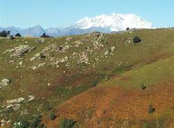 Monte Rosa