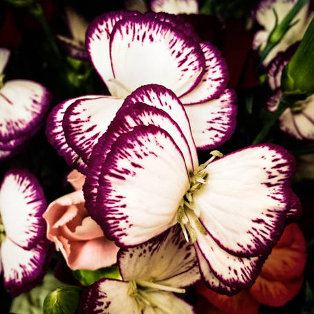 "Once a Day" di Alberto Bortoluzzi