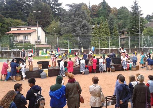 palio di masnago