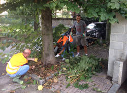 Puliamo Induno Olona