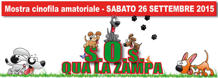 qua la zampa sos malnate