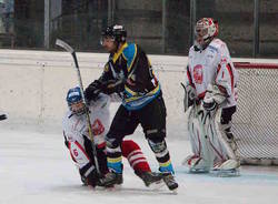 varese killer bees hockey ghiaccio locarno