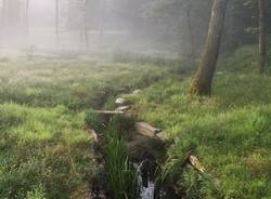 Vedano Olona: il Sentiero delle Rane