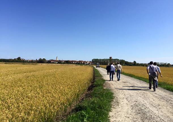 Via Francigena