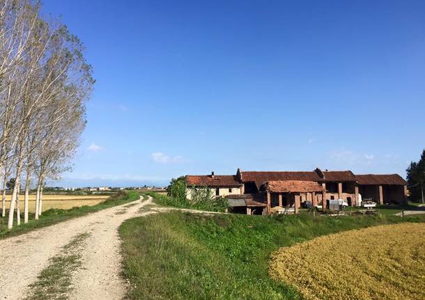 La via Francigena in Lombardia: da Vercelli a Robbio
