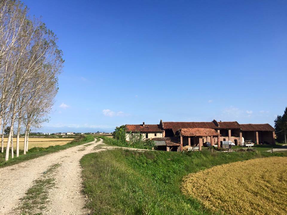 Via Francigena