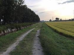 via Francigena Lombarda da Garlasco a Pavia