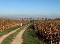 Via Francigena Lombarda da Mortara a Garlasco