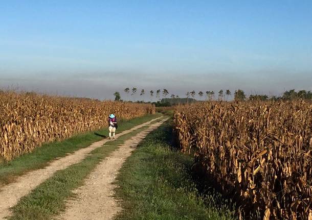 Via Francigena Lombarda da Mortara a Garlasco