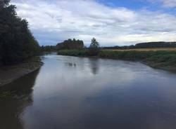 via Francigena Lombarda da Pavia a Santa Cristina Bissone