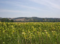 viaggio bici olgiate olona roma