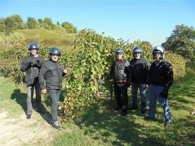vigneti