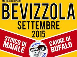 Vizzola Ticino Generiche