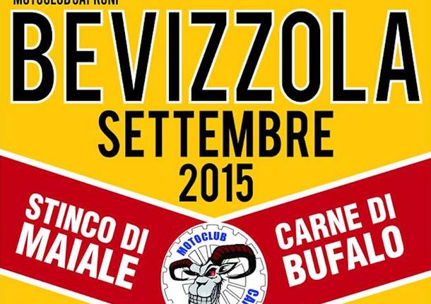 Vizzola Ticino Generiche