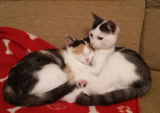 Emma e Olga