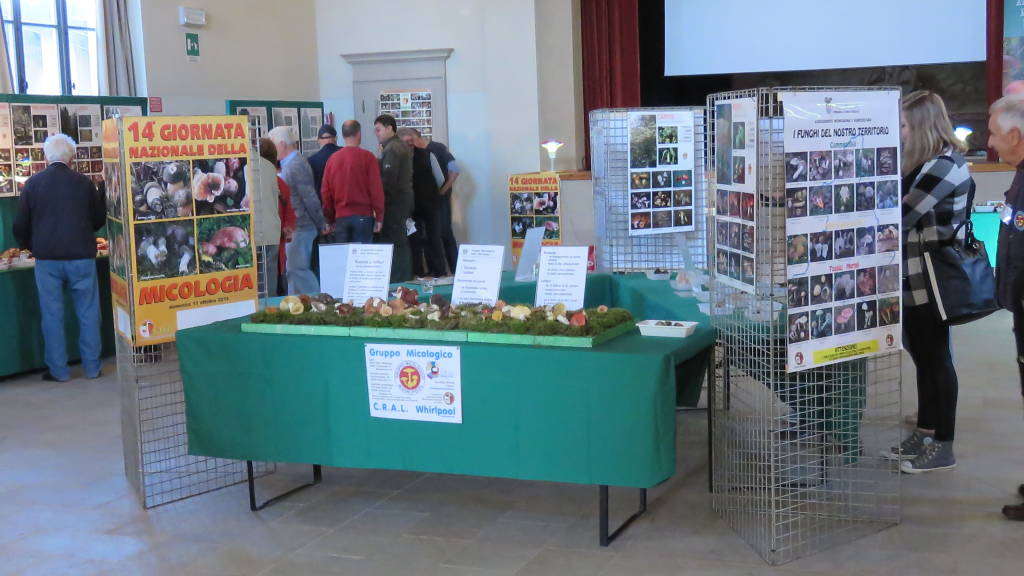 Mostra funghi Caldana