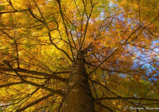 Autunno varesino