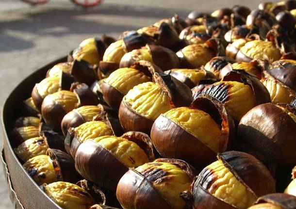 Castagne generica