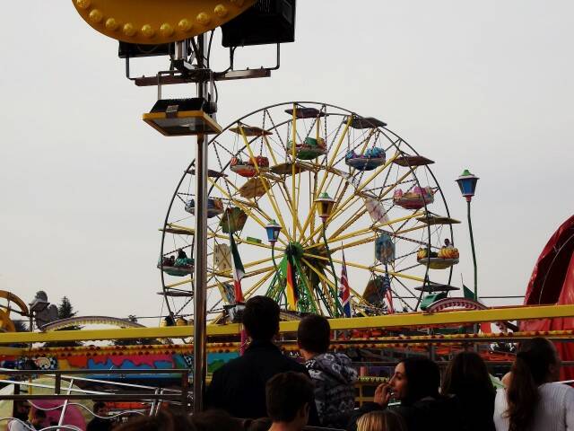 DSCF6351