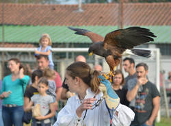 Festa medievale a Lissago