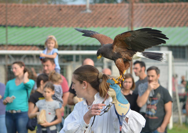 Festa medievale a Lissago