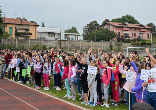 festa scuole malnate