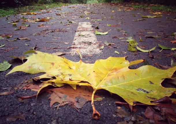 Foto del giorno di ottobre