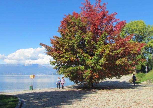 Foto del giorno di ottobre