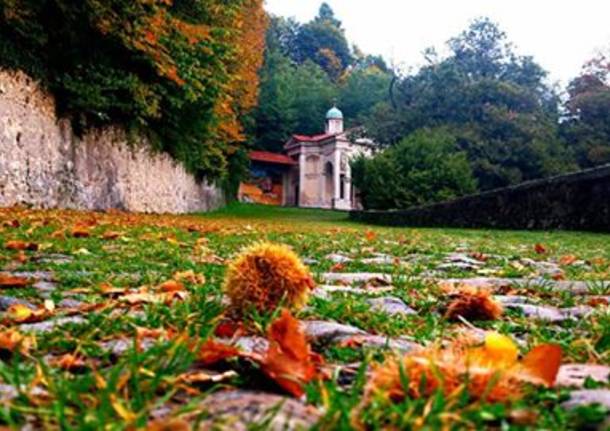 Foto del giorno di ottobre