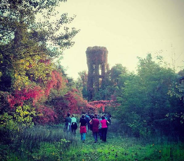 Foto del giorno di ottobre