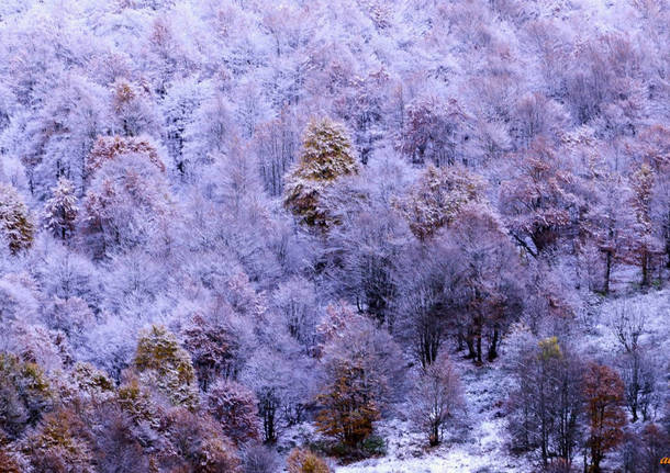 Foto del giorno di ottobre