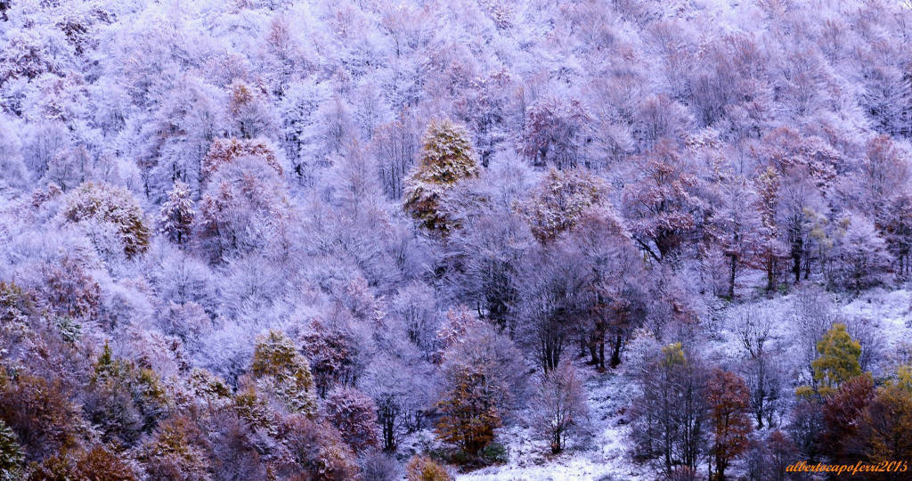 Foto del giorno di ottobre