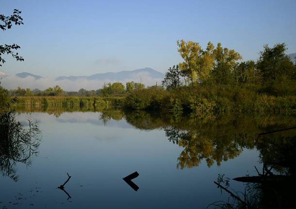 Foto del giorno di ottobre