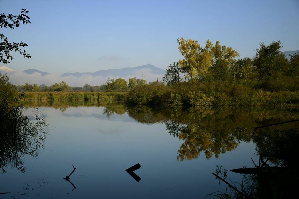 Foto del giorno di ottobre