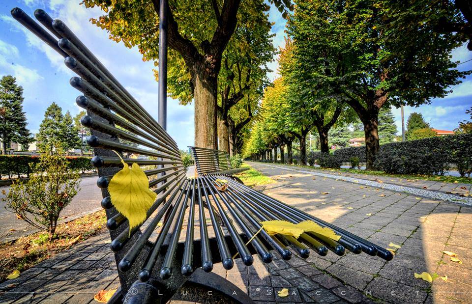 Foto del giorno di ottobre