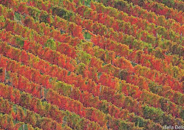 Foto del giorno di ottobre
