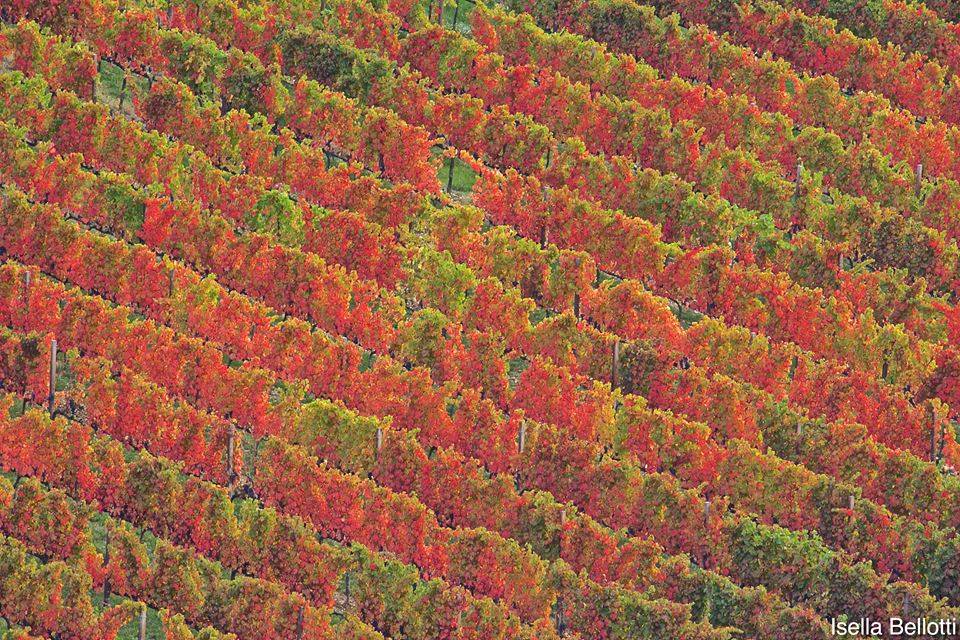 Foto del giorno di ottobre