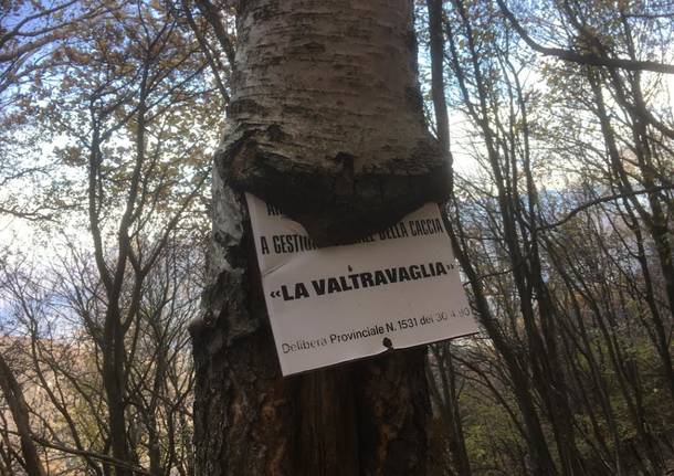 Foto del giorno di ottobre