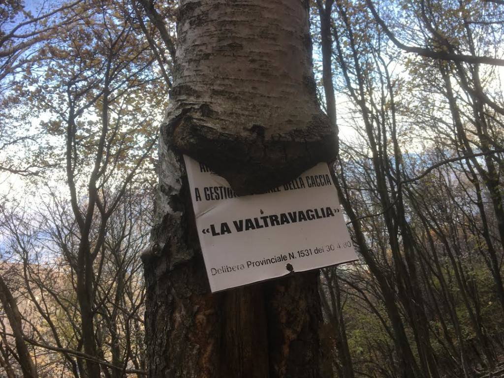 Foto del giorno di ottobre