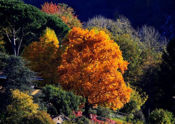 Foto del giorno di ottobre