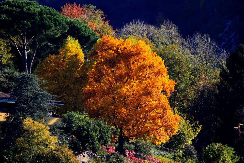 Foto del giorno di ottobre